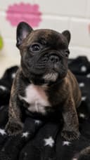 thumb-6 thumb-6